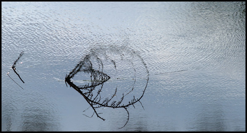 riflessi.jpg
