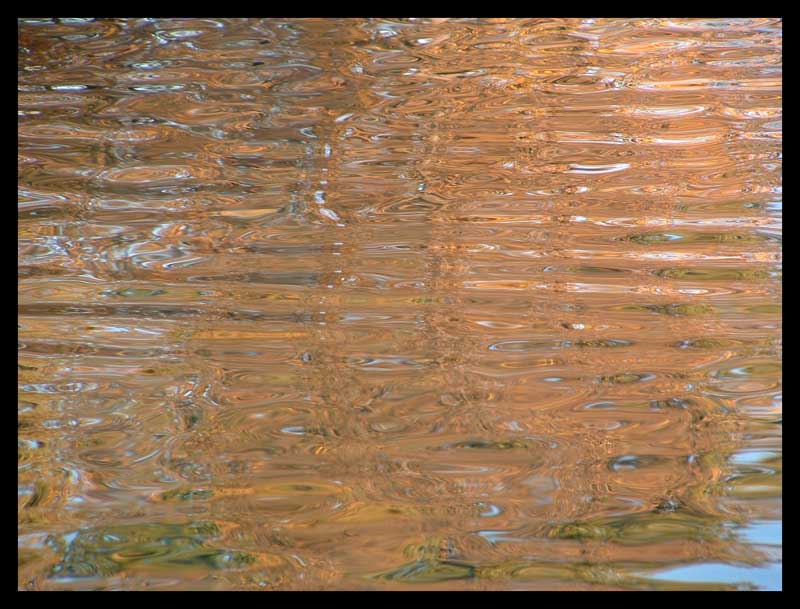 riflessi d'acqua.jpg
