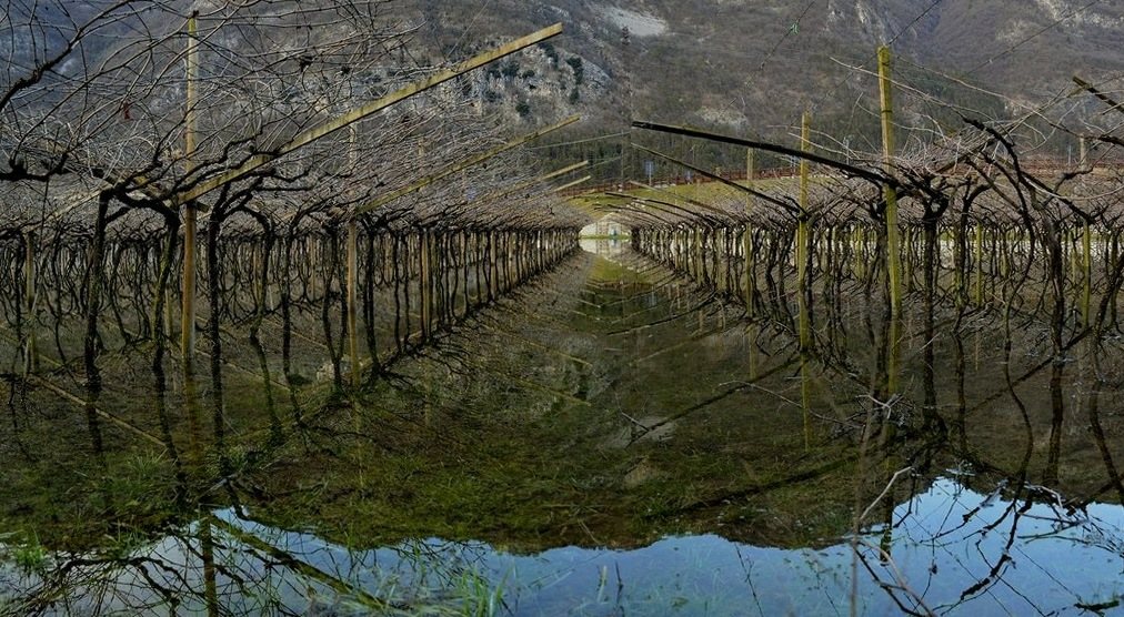 riflessi negatividritta.jpg