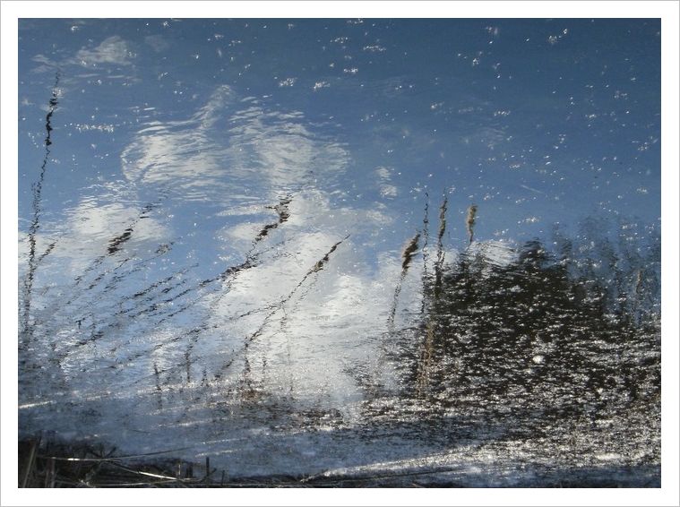 riflesso2a.jpg