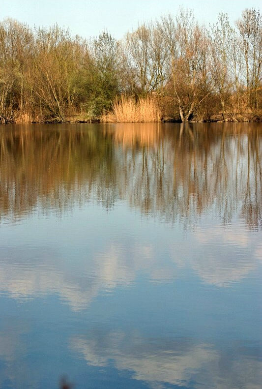 riflesso di cielo.jpg