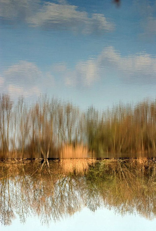 riflesso_di_cielo.jpg