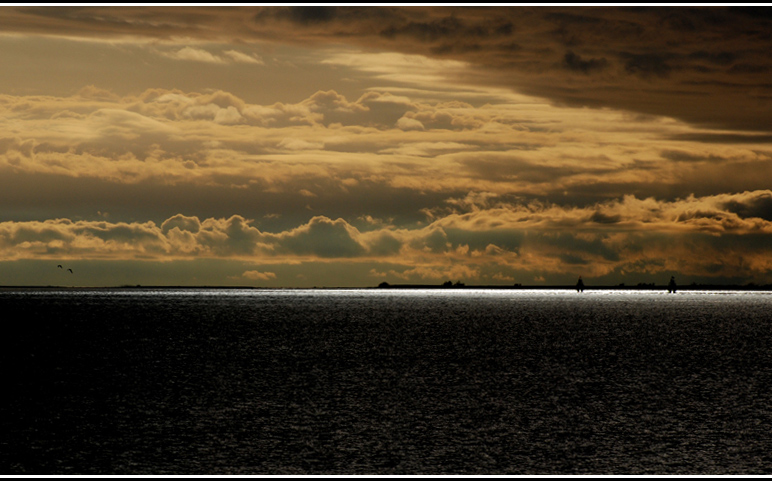 RIFLETTORI-IN-MARE-2.jpg