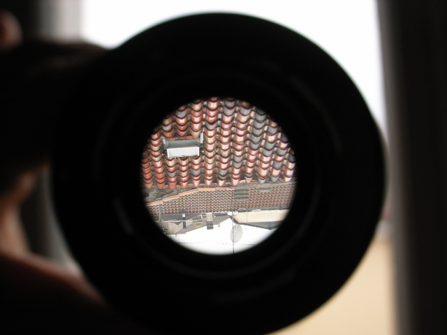 RIMG0129.JPG