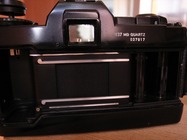 RIMG0227.JPG