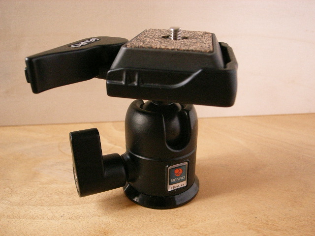 RIMG0237.JPG