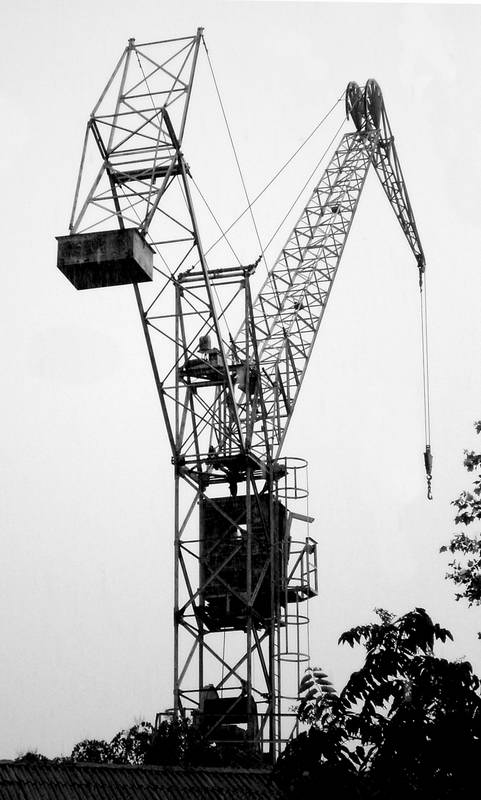 RIMG0825 copia.jpg