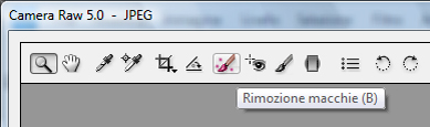 Rimozione macchie.jpg