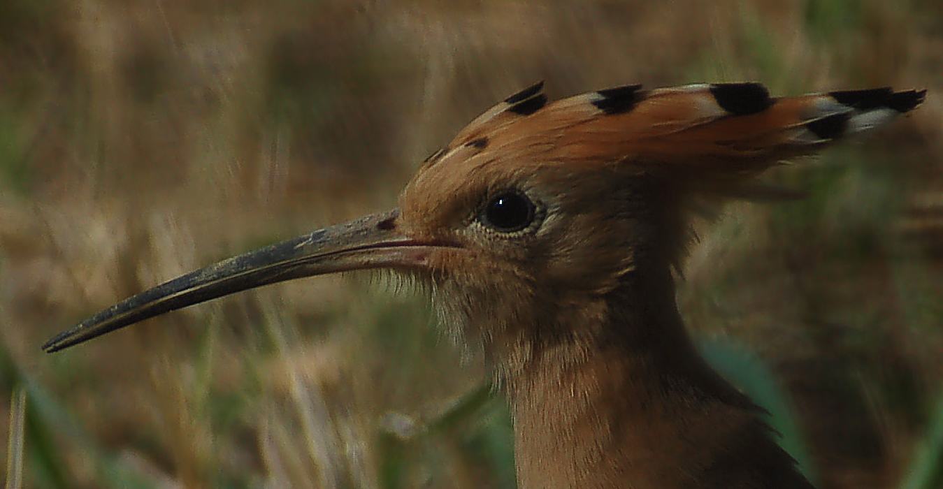 RITRATTO-3-.jpg