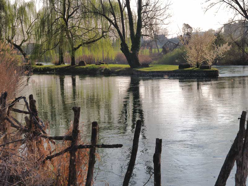 Riva-del-fiume.jpg