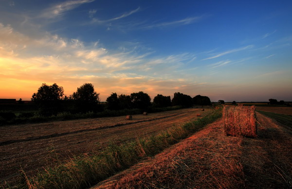 Rivale05_1_2_3_4 copia.jpg