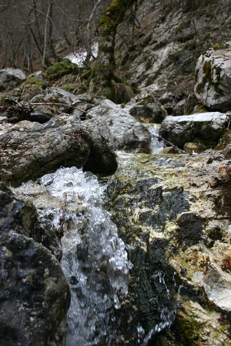 Rivolo-di-ruscello.jpg