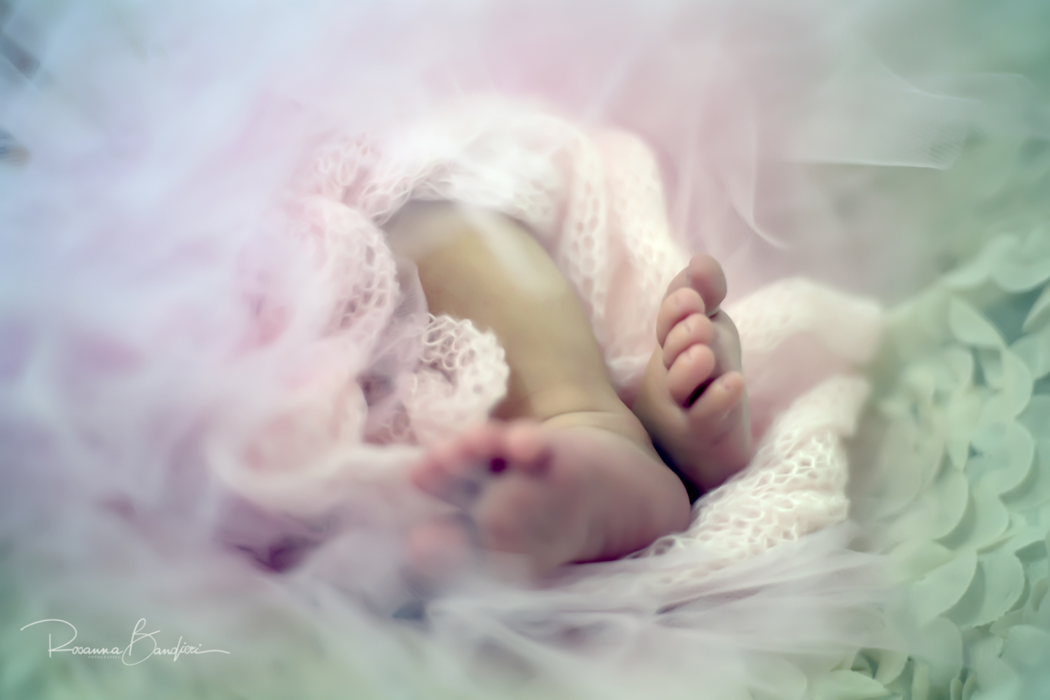 RO7_1019p4.jpg