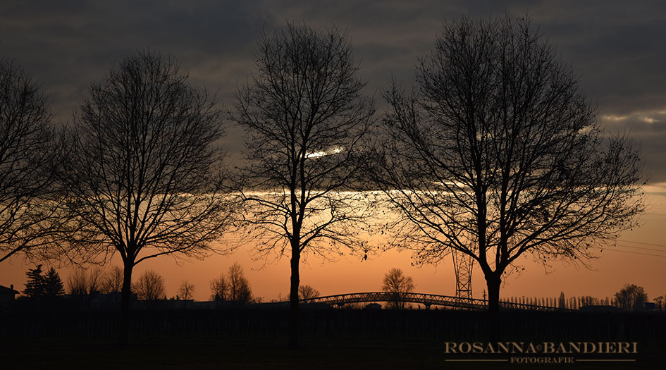 RO7_3648.jpg