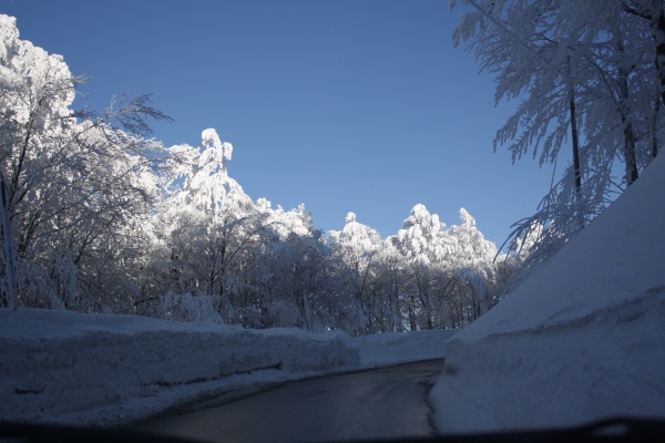 road.jpg