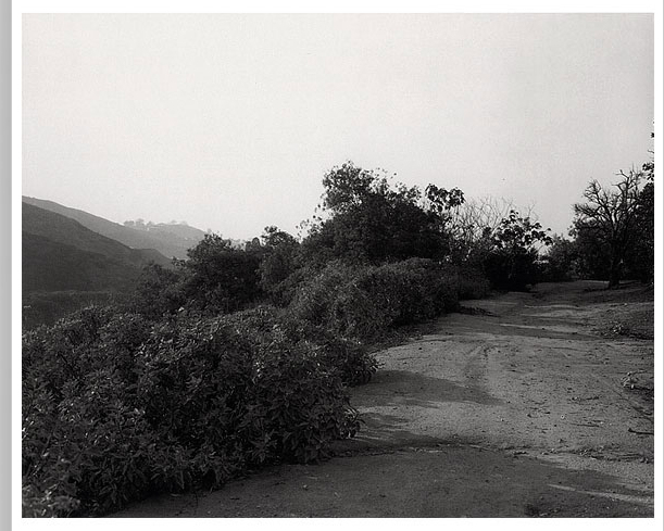 Robert Adams B.jpg