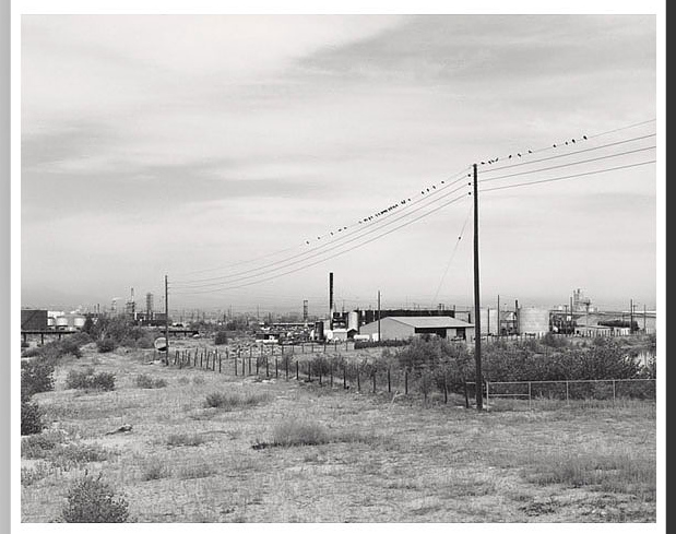 Robert Adams E.jpg