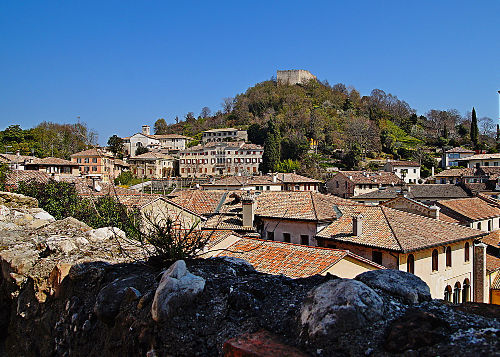 rocca color.jpg