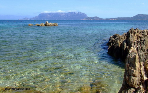 ROCCIAbis.jpg