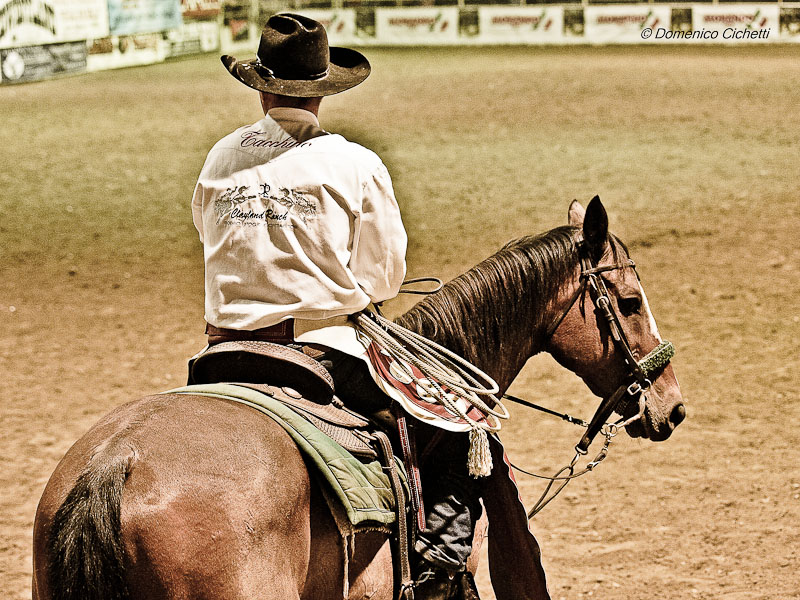rodeo_06.jpg