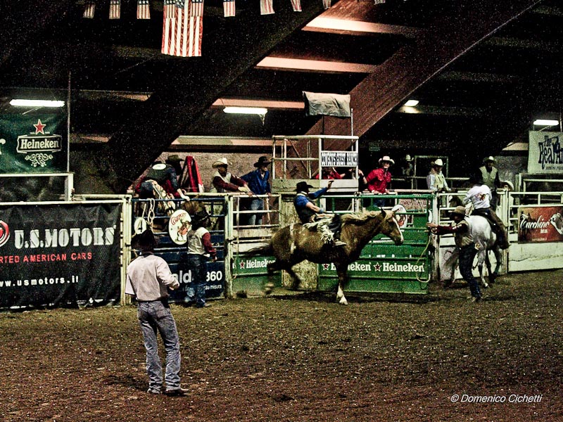 rodeo_07.jpg