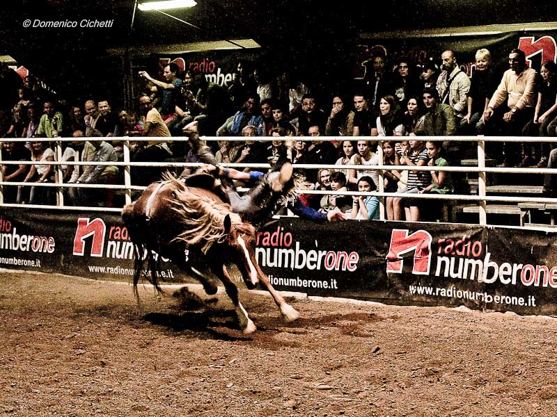 rodeo_09.jpg
