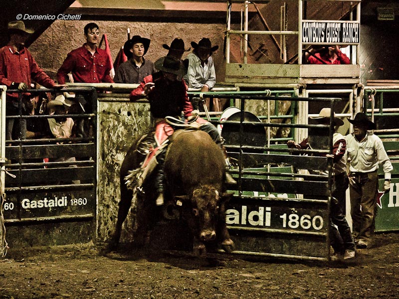 rodeo_11.jpg