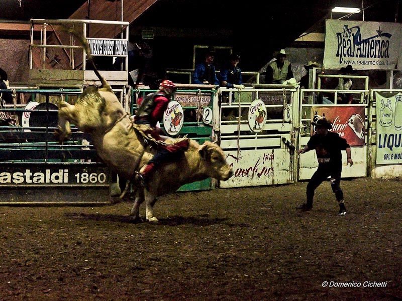 rodeo_12.jpg