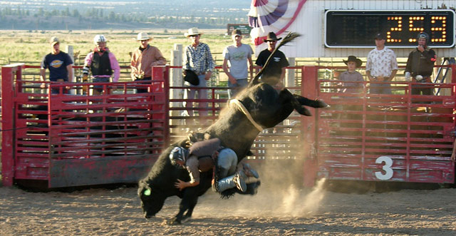 rodeo.jpg