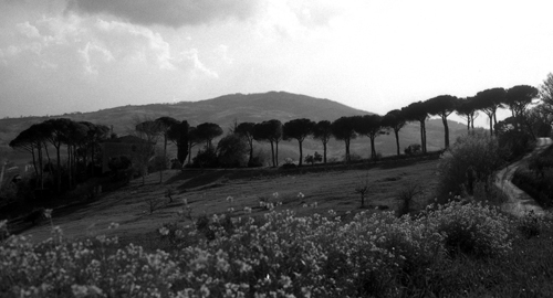 rollei ir 750.jpg