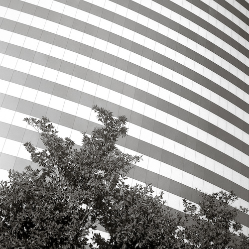 RolleiEUR_TMax-09-1.jpg