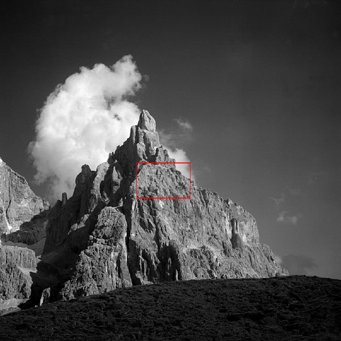 Rolleiflex_tutto.jpg