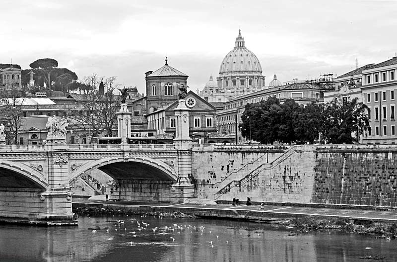 roma-bn3.jpg