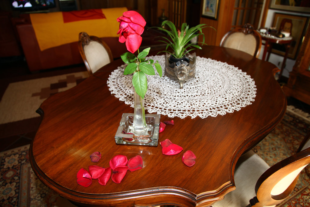 rosa-7.jpg