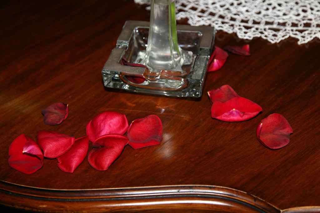 rosa-8.jpg