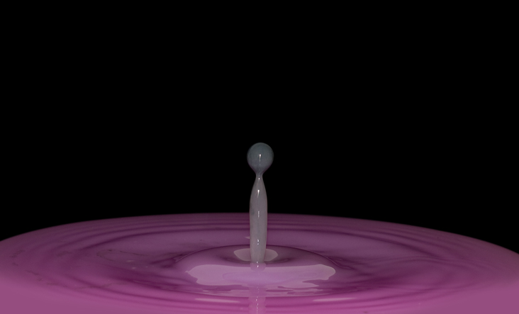 rosegrey.jpg