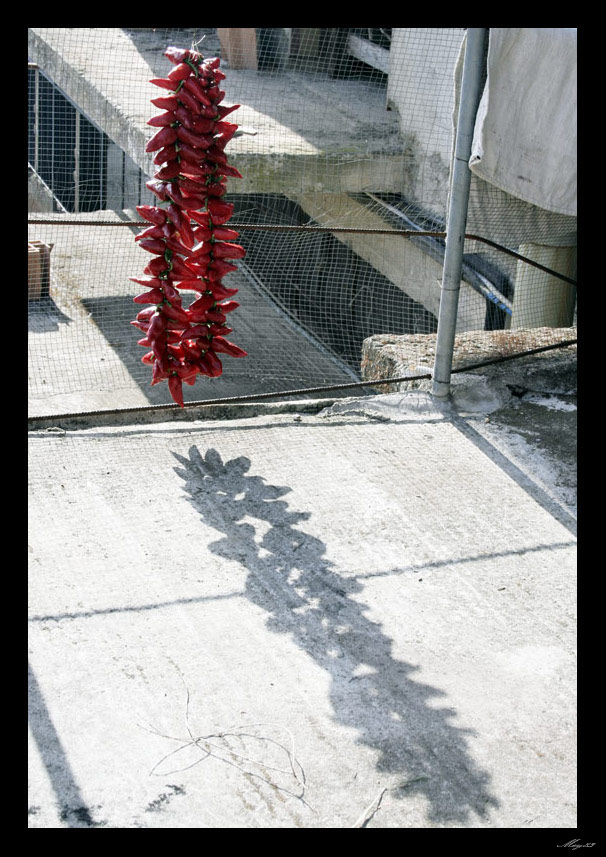 rosso-di-calabria-11.jpg
