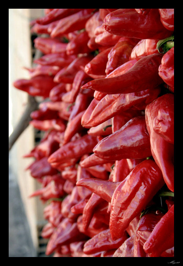 rosso-di-calabria-12.jpg