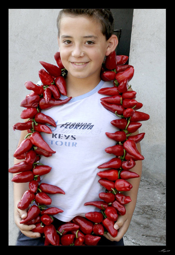 rosso-di-calabria-13.jpg