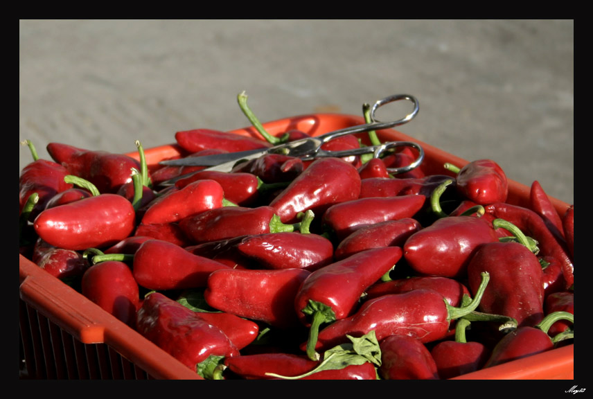 rosso-di-calabria1.jpg