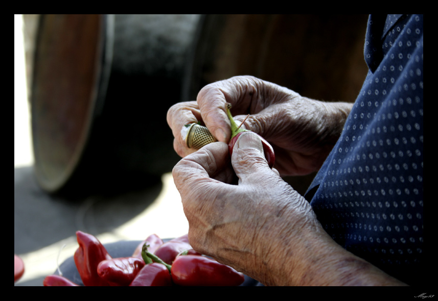 rosso-di-calabria4.jpg