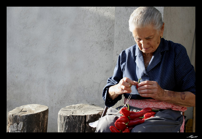 rosso-di-calabria6.1.jpg