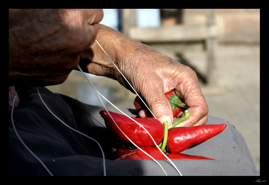 rosso-di-calabria6.jpg
