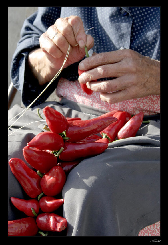 rosso-di-calabria9.jpg