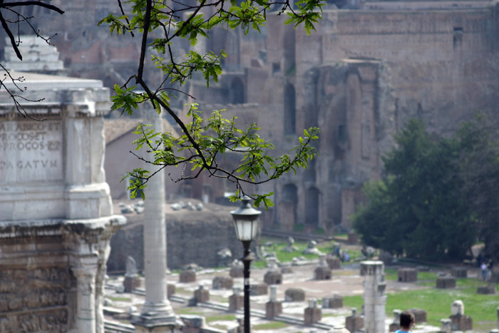 rovine.jpg