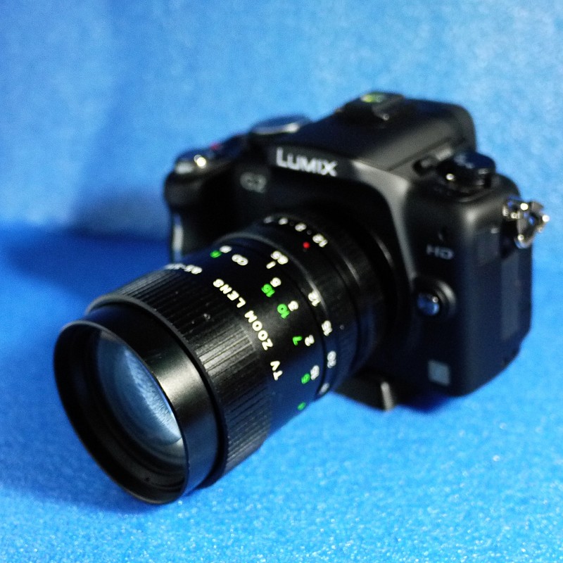 rP1010599.JPG