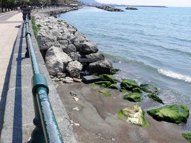 rP1030059.jpg