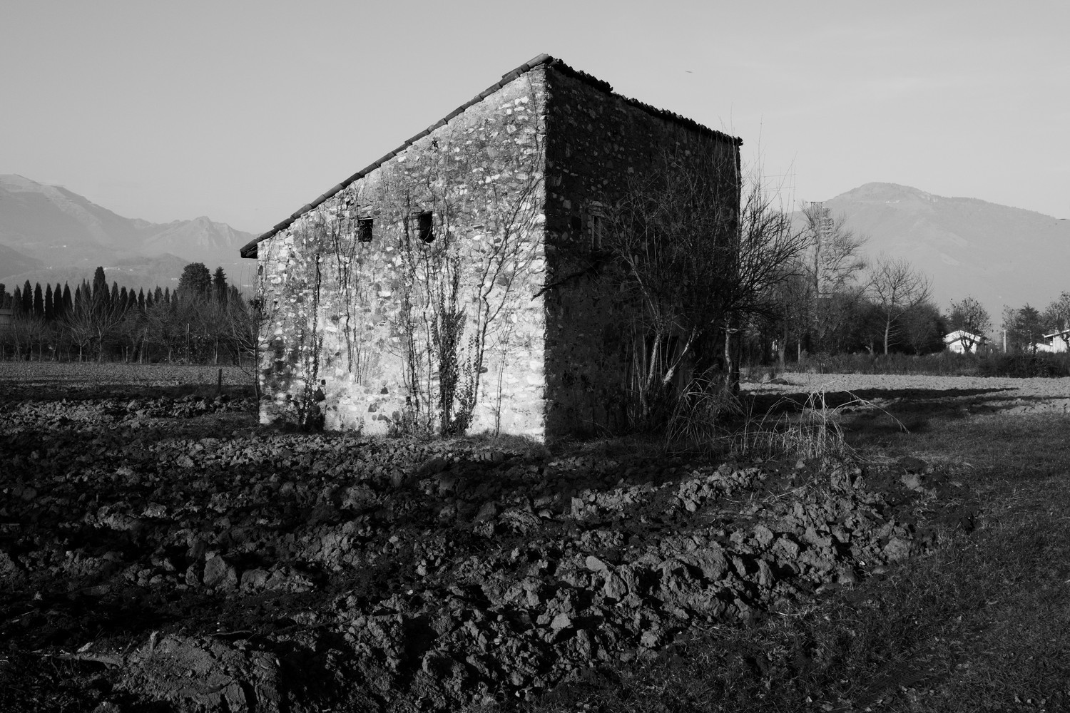 Rudere_1-3.jpg