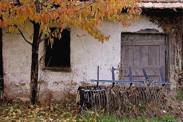 rudere.jpg