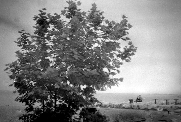 rullo_159 bis.jpg
